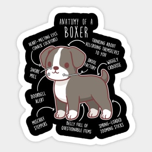 Boxer Dog Reverse Brindle Seal Anatomy Sticker